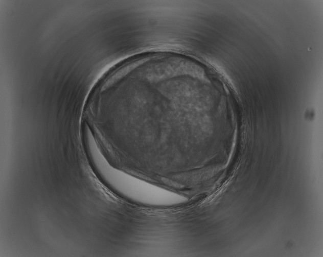 X0000090910932200708271002