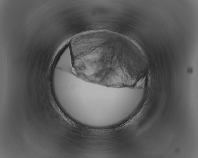 X0000090910933200708271002