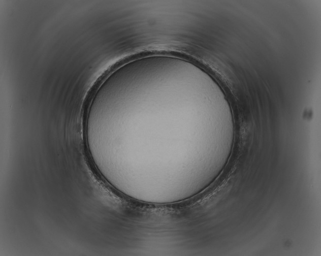 X0000090910934200708271002