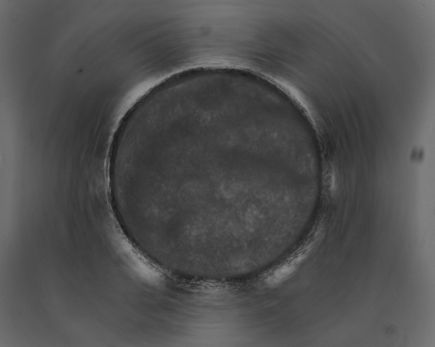 X0000090910935200708271002