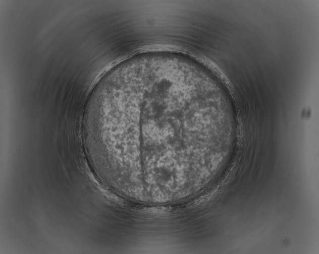 X0000090910937200708271002