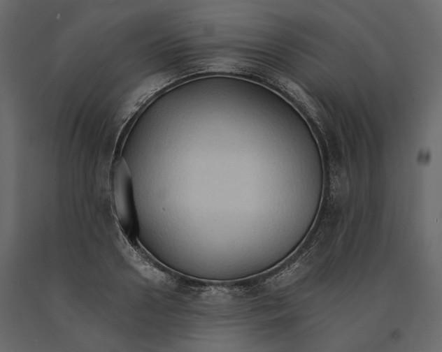 X0000090910938200708271002