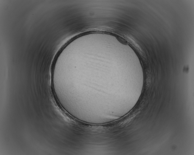 X0000090910940200708271002