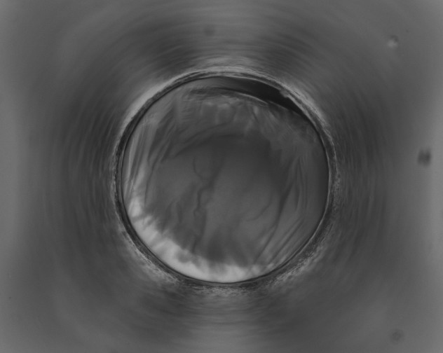 X0000090910941200708271002