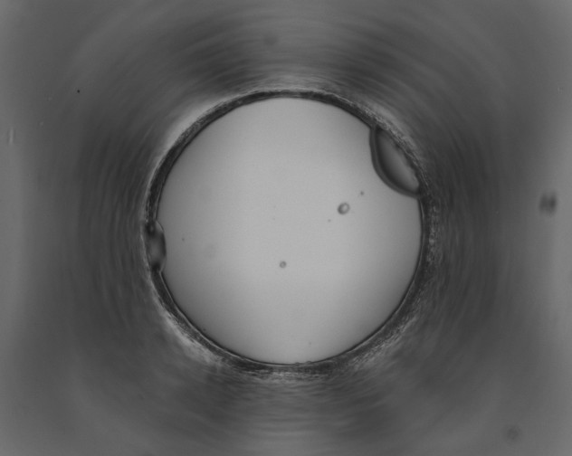 X0000090910942200708271002