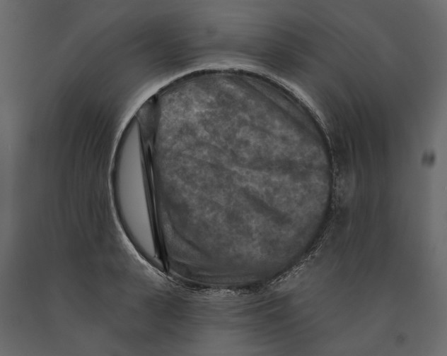 X0000090910943200708271002