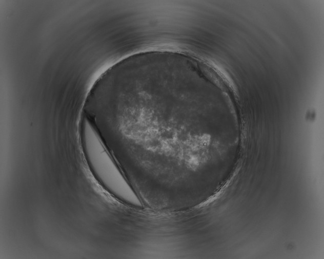 X0000090910944200708271002