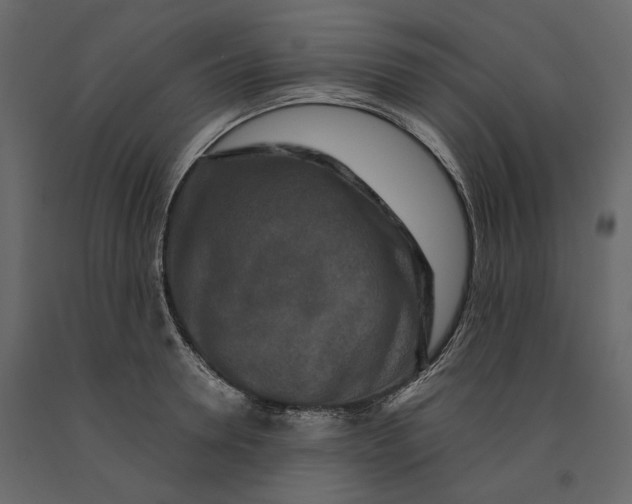 X0000090910946200708271002