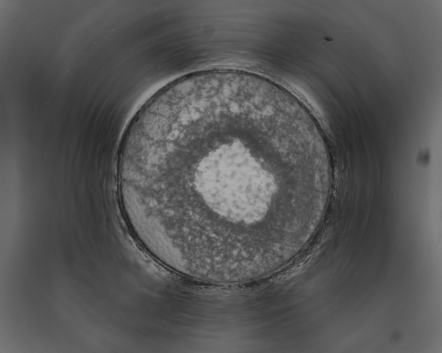 X0000090910948200708271002