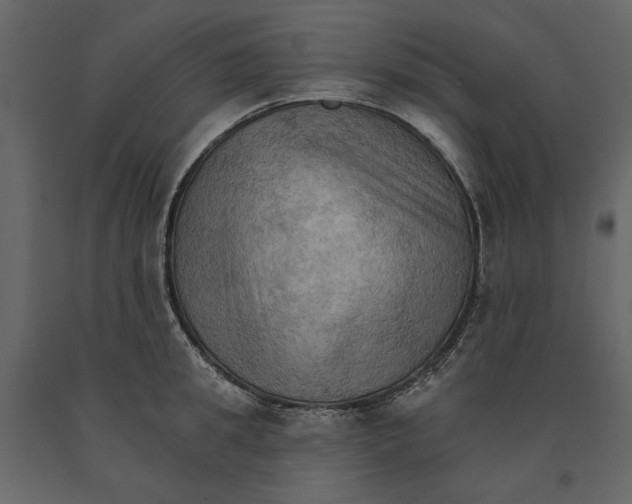 X0000090910949200708271002