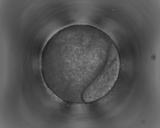 X0000090910950200708271002