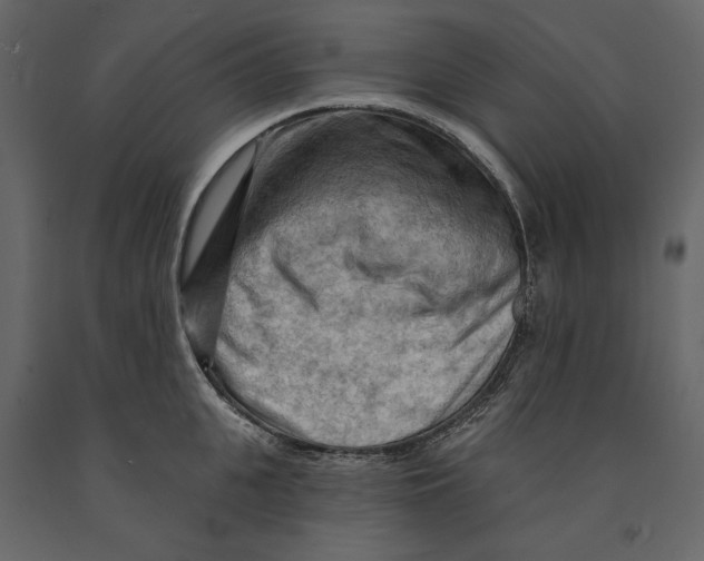 X0000090910951200708271002