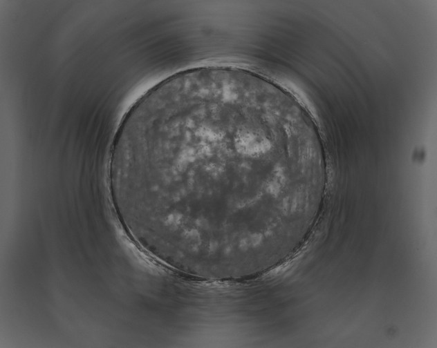 X0000090910952200708271002