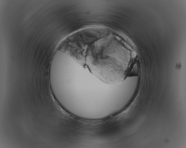 X0000090910953200708271002