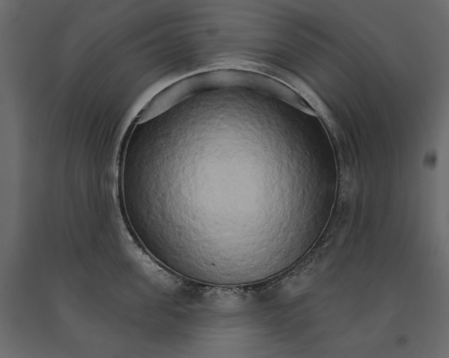 X0000090910955200708271002