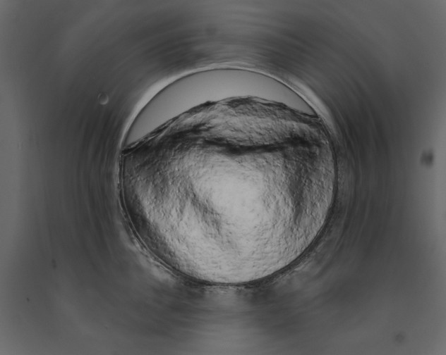 X0000090910956200708271002