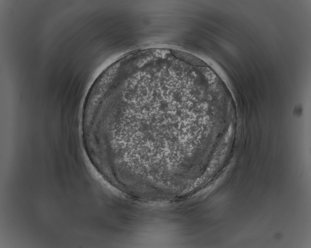 X0000090910957200708271002