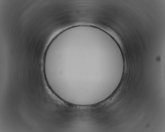 X0000090910958200708271002