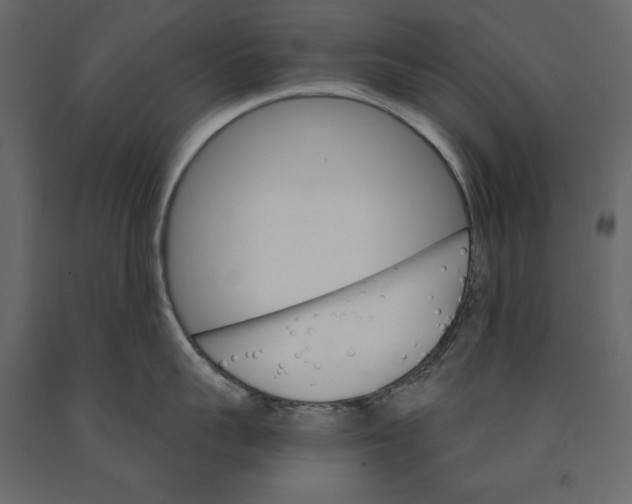 X0000090910959200708271002