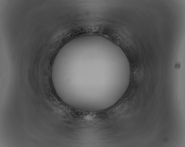 X0000090910961200708271001