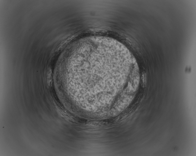 X0000090910963200708271001