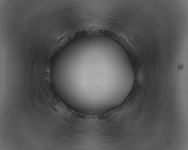 X0000090910964200708271001