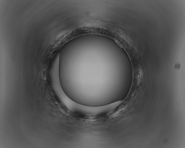 X0000090910965200708271001