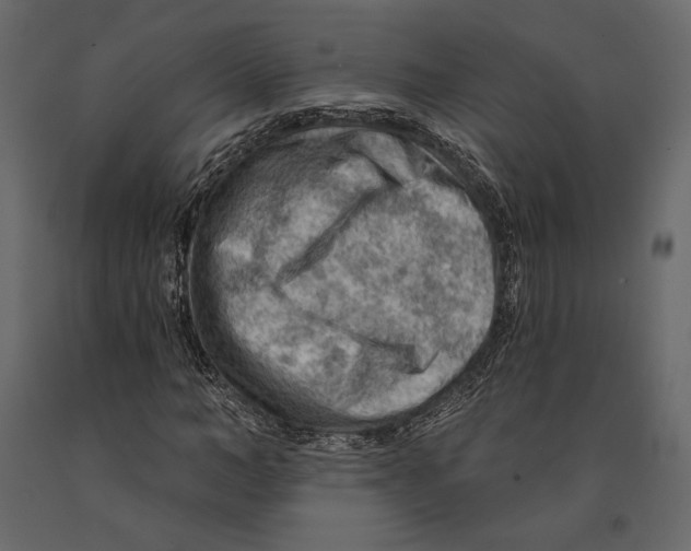 X0000090910966200708271001