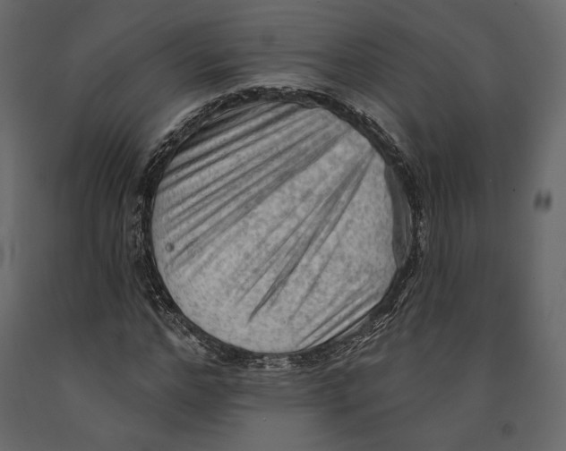 X0000090910968200708271001