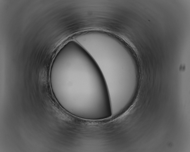 X0000090910969200708271001