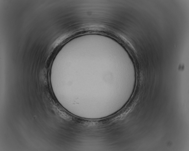 X0000090910970200708271001