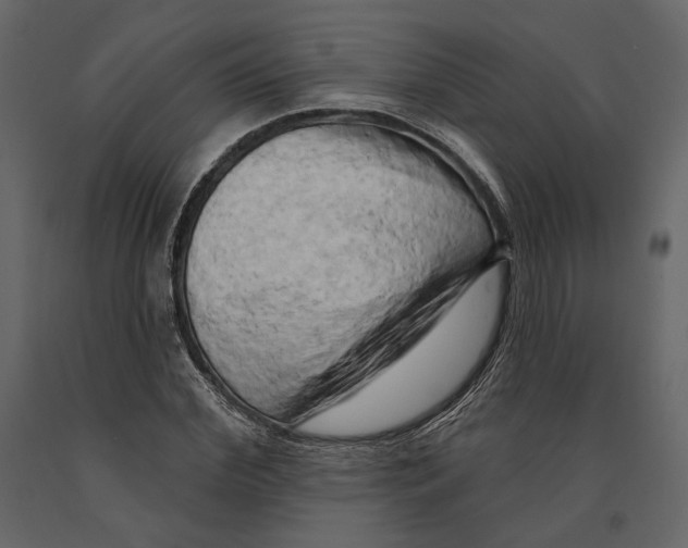 X0000090910972200708271001