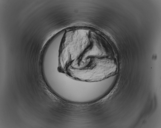 X0000090910973200708271001