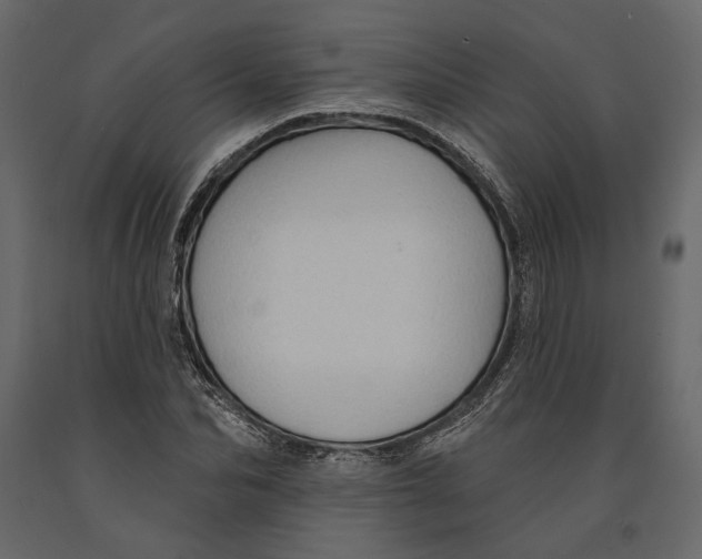 X0000090910974200708271001