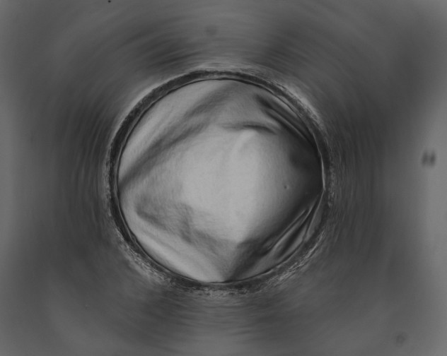 X0000090910976200708271001