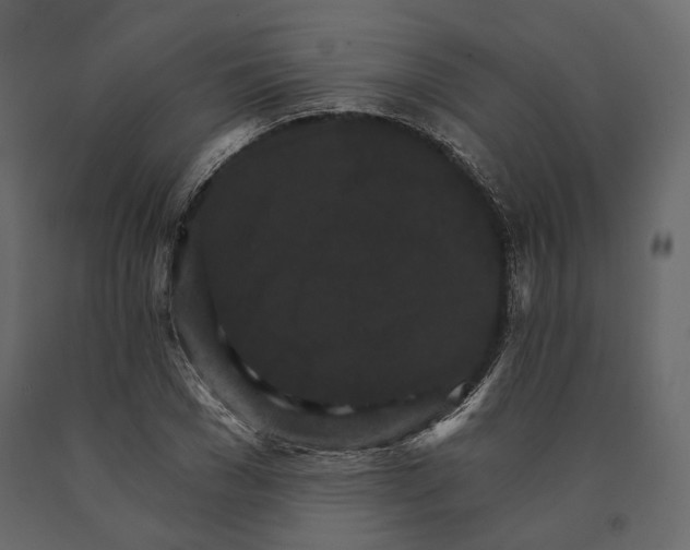 X0000090910977200708271001