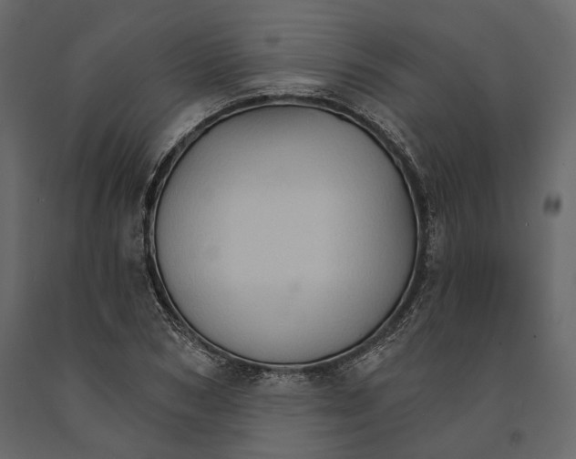 X0000090910978200708271001