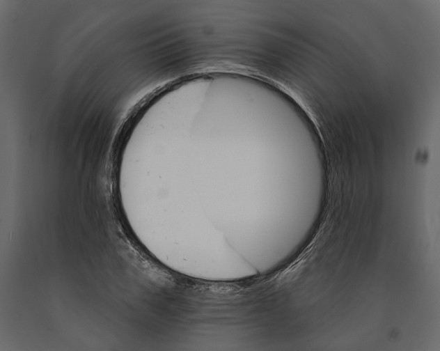 X0000090910979200708271001