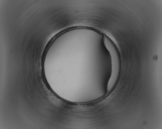 X0000090910980200708271001