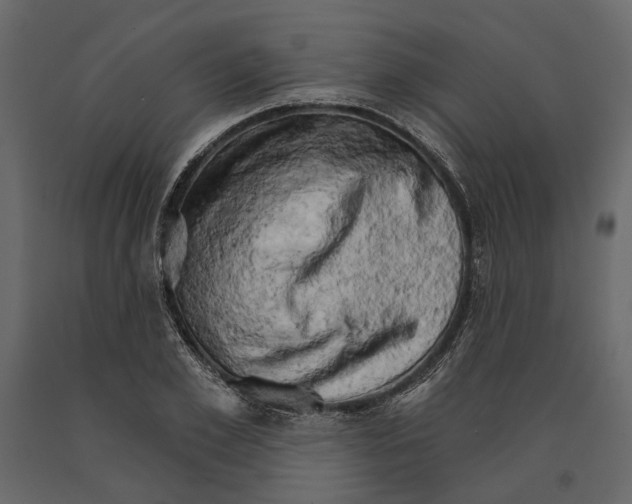 X0000090910981200708271001