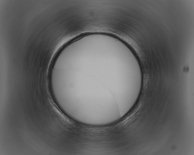 X0000090910982200708271001