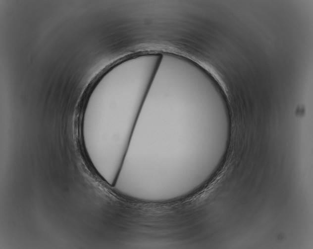 X0000090910983200708271001