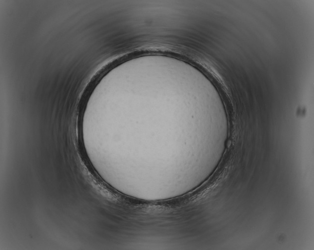 X0000090910984200708271001