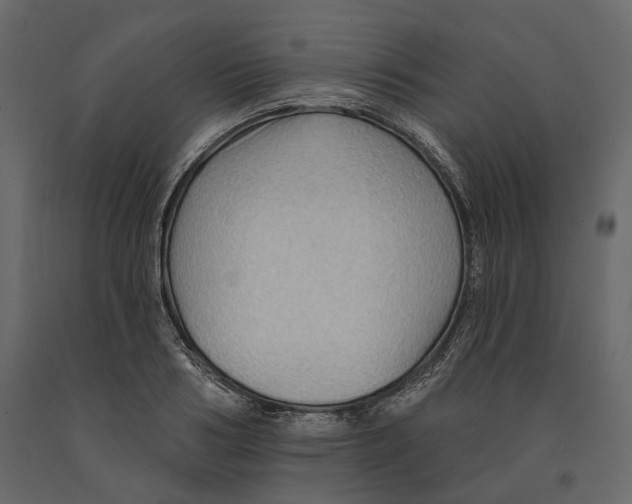 X0000090910986200708271001