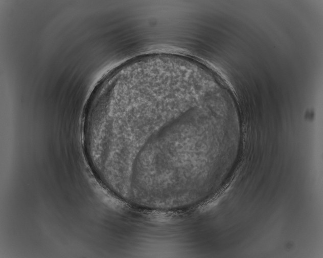 X0000090910987200708271001