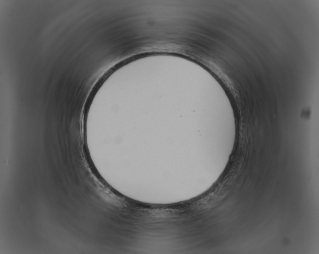 X0000090910988200708271001