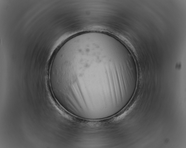 X0000090910989200708271001