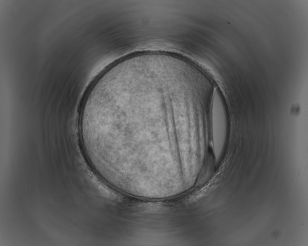 X0000090910990200708271001