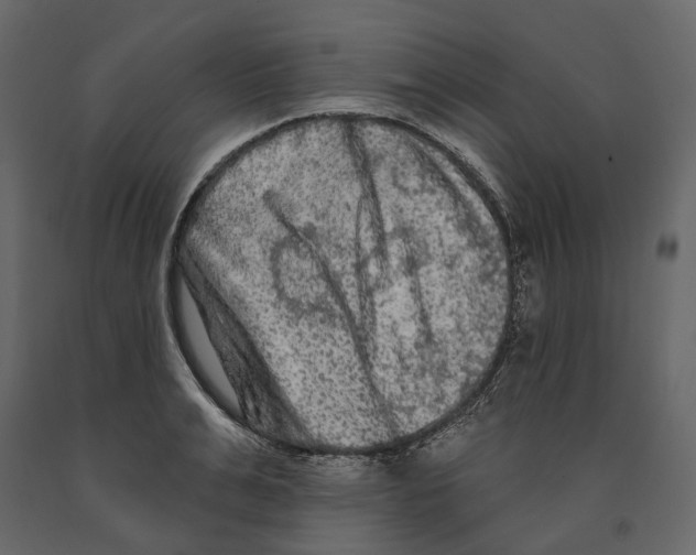 X0000090910991200708271001