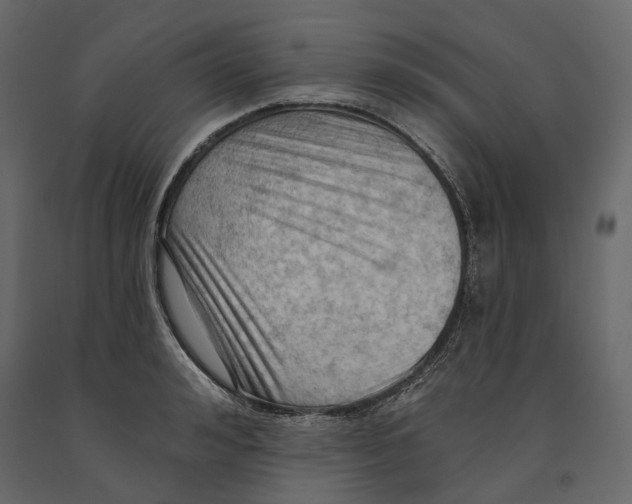 X0000090910992200708271001